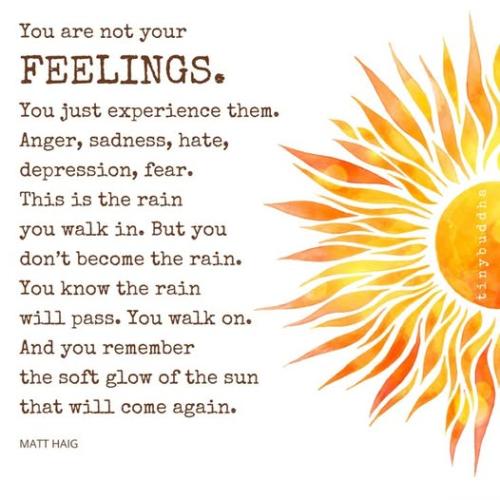 508357138_726308880285307_214512623581727235_n