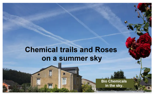 494576217_1247774160087315_6732891218565070689_n