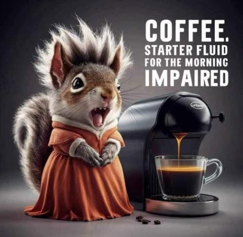 504031427_628688753559147_1292213091474398993_n