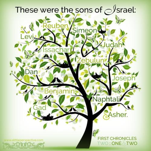 1-chr-2-1-ww-stock-9x