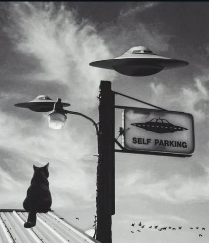 490298339_675131278736401_3521494474779206587_n