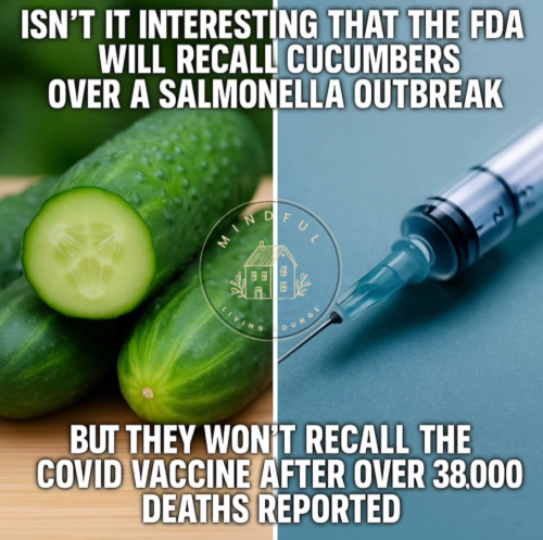 Screenshot 2025-06-30 065932