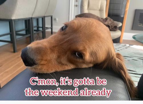 Screenshot_20250602_172127_Facebook_resized