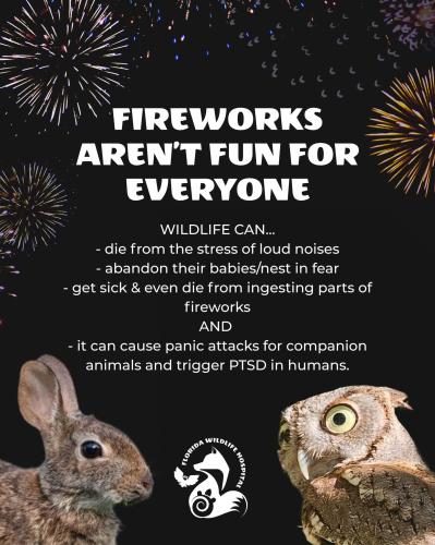 FB_IMG_1751296466534