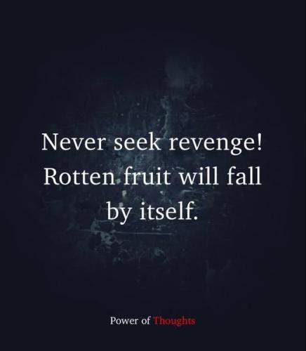 487454970_122227218656192570_5537458958375362185_n