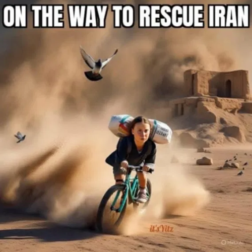 image_2025-06-17_060615451