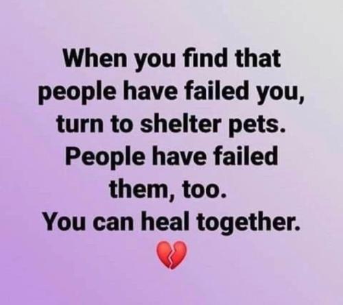 253de3033ad93f01b4c37bcdf7ced186