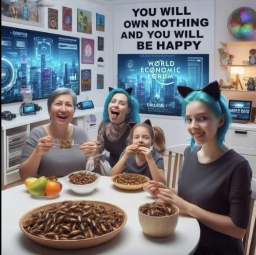 Image 02-04-2024 at 23.57