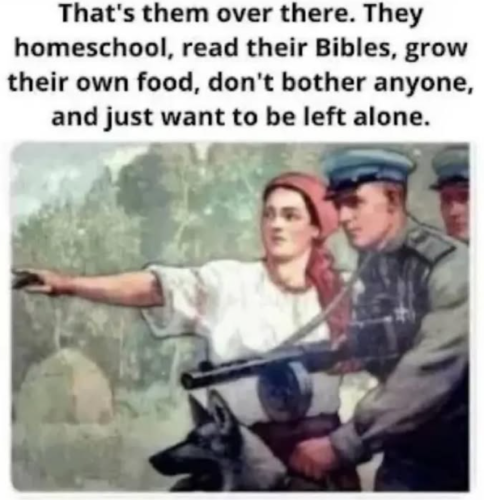 Screenshot 2025-06-24 141047