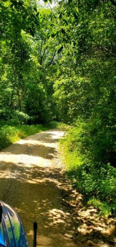 69b2b2b3-d7c0-4b66-b8f0-d50a32bce713