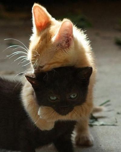 505894934_1346191440202340_5801823522430751619_n