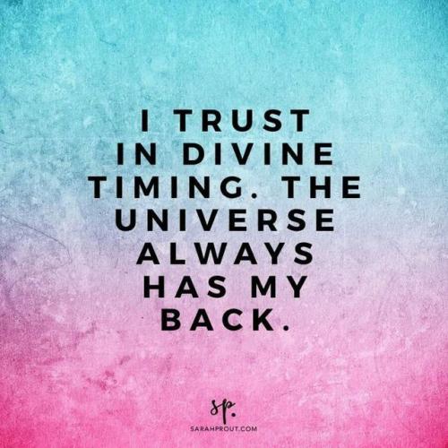 558bae2122c3a1bf22f19050f305daf4