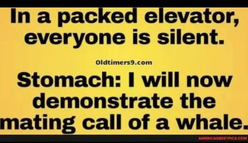 IMG_20250625_072305_639