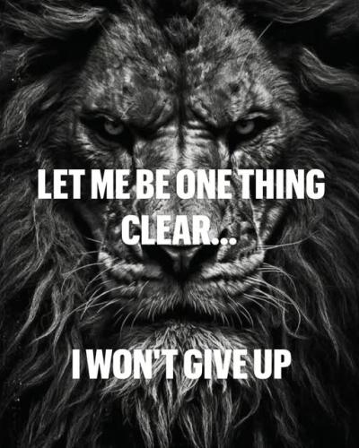 487403029_567063696399222_4789342702565659801_n