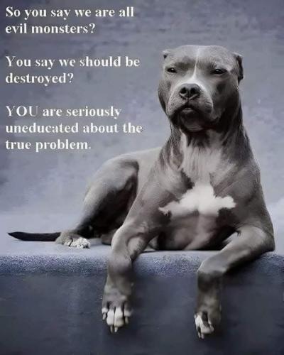 FB_IMG_1748708502408