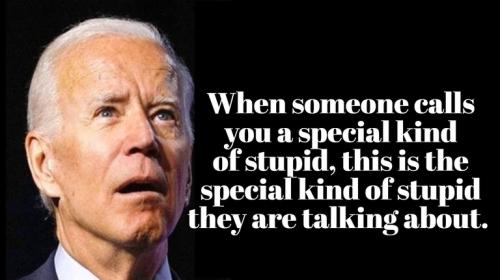 Special kind of Stupid Joe Biden.768px