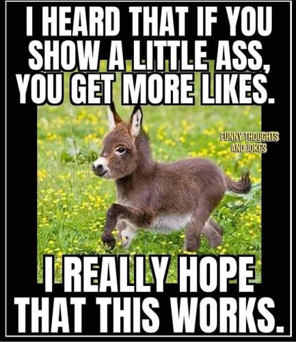 e1d05fe5ccffcbf126993f77adac2e5c