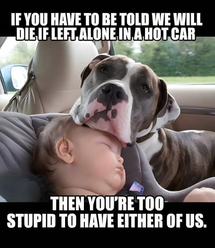 FB_IMG_1750865238108