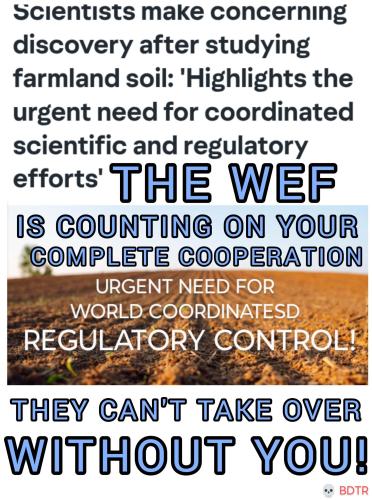 InShot_20250622_204230375~4