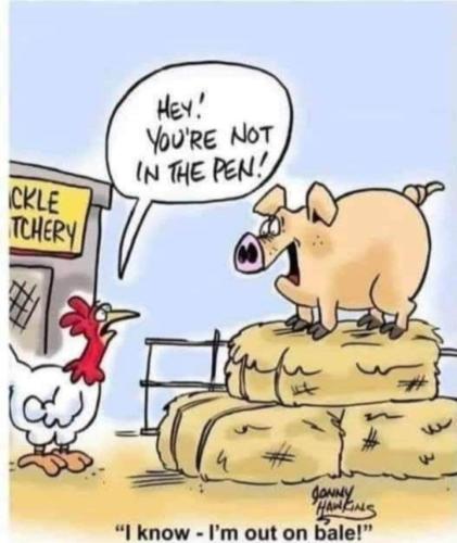 Screenshot_20250618_115149_Gallery