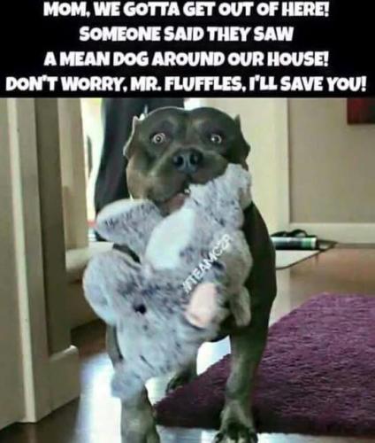 FB_IMG_1748713914354