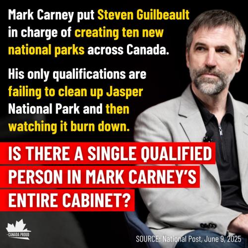 single qualified person