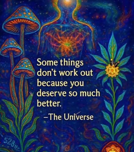 508454183_1287925542672359_3059358972937263139_n