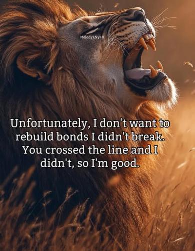 510861726_9380883978678465_1530833410740490561_n