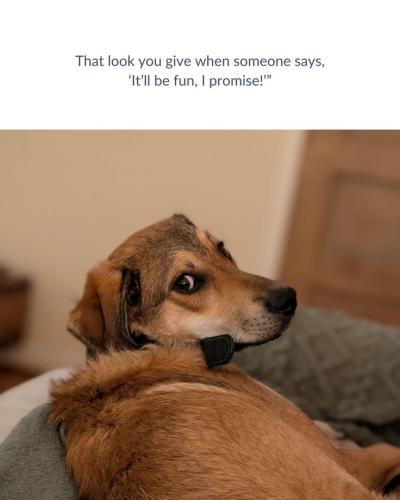 cd3f09e8d5f7d419e99f54ba79215fc8