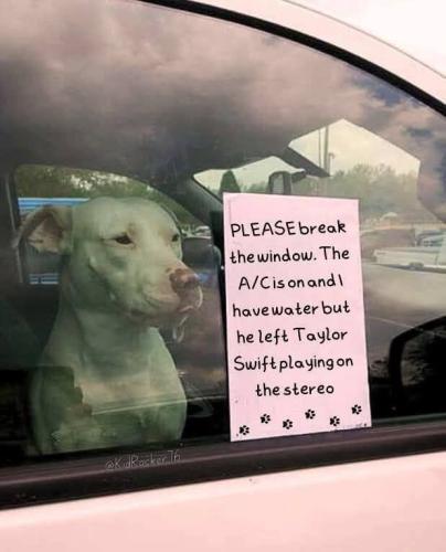 IMG_20250621_153354_806