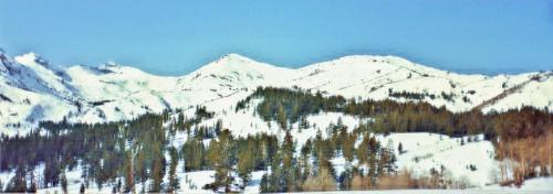 MCMWTC Pickle Medows Mountains