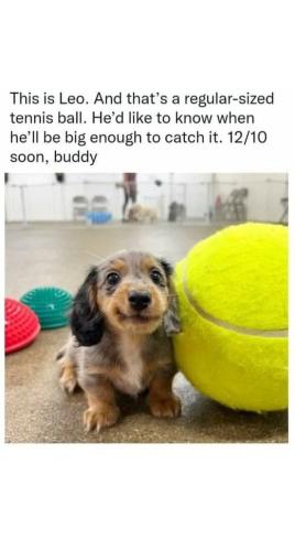 FB_IMG_1749245410918