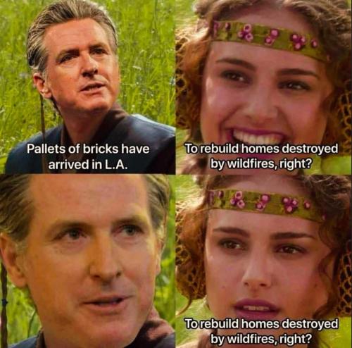 photo_2025-06-11_22-59-01