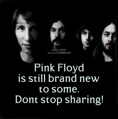 pink floyd