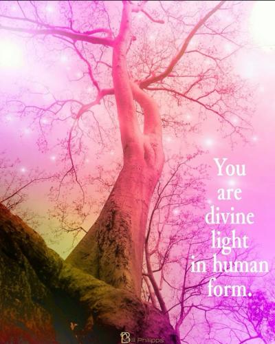 6cee944d7d57bae8c91bec20a1db63e5