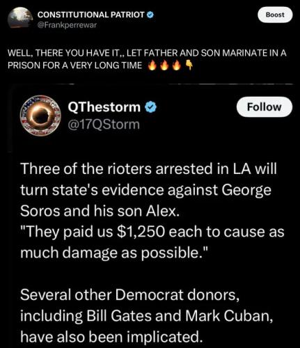 SOROS LA RIOTERS