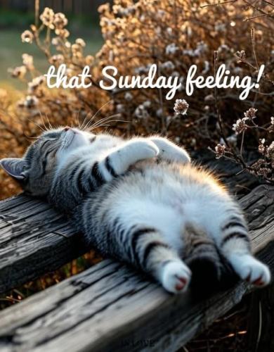 511867408_738302785517729_5900950685269283102_n