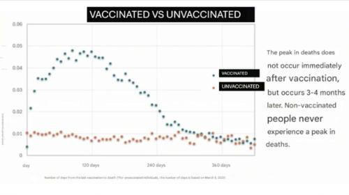 covid death bombshell-large-scale-japanese-1920x1077