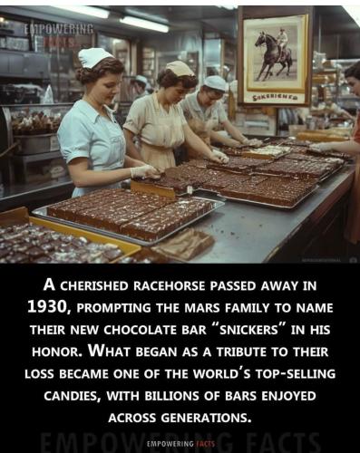 d9995498-f85e-4a8c-8eda-c81c8b50ff38