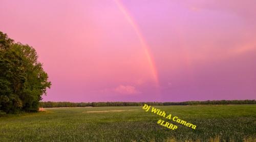 Screenshot_20250618_071833_Gallery