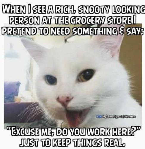 7cd058338ec0ed291b45fd31a0df509b