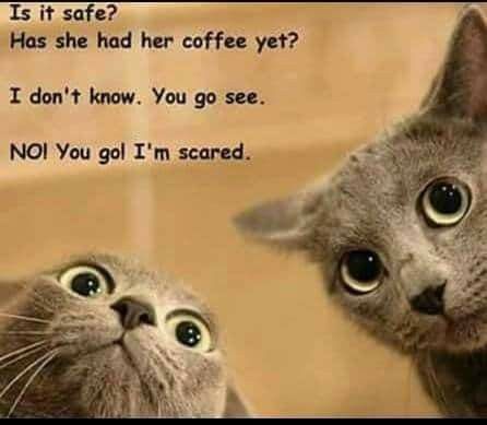 55ba50bfce510cc331256dc0b7623ccd