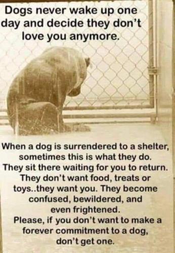 2759e492878379440ec6411a3d3e83cc