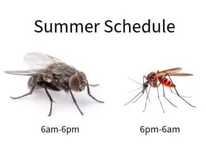 image_C31A0519-E6E4-4DA6-A120-79A5165C3D81