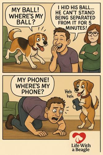 FB_IMG_1746980176722