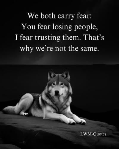 506454926_1142032431300564_1740375051181319640_n