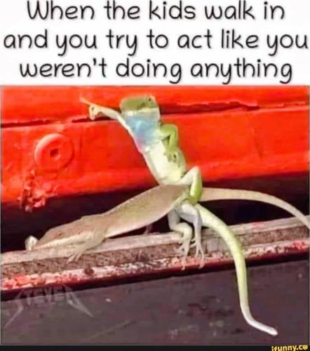 ae1c63ac-1b04-405e-8a1e-000dd4496bfb