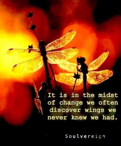 497484092_1002194382027932_3665777133906038948_n