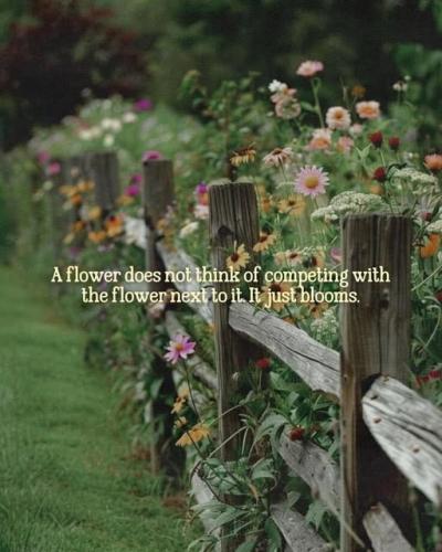 514777073_10171961097900344_5191409764891916721_n