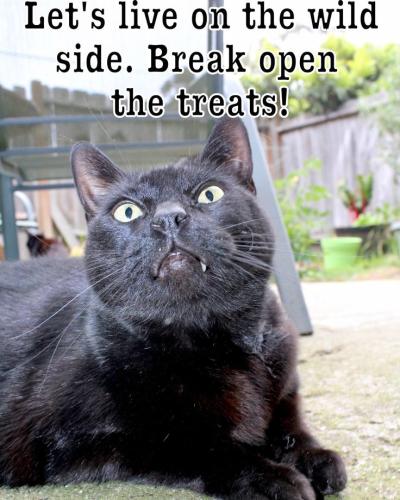 bf44b6ec12337dd66f6c9f55e564d36e